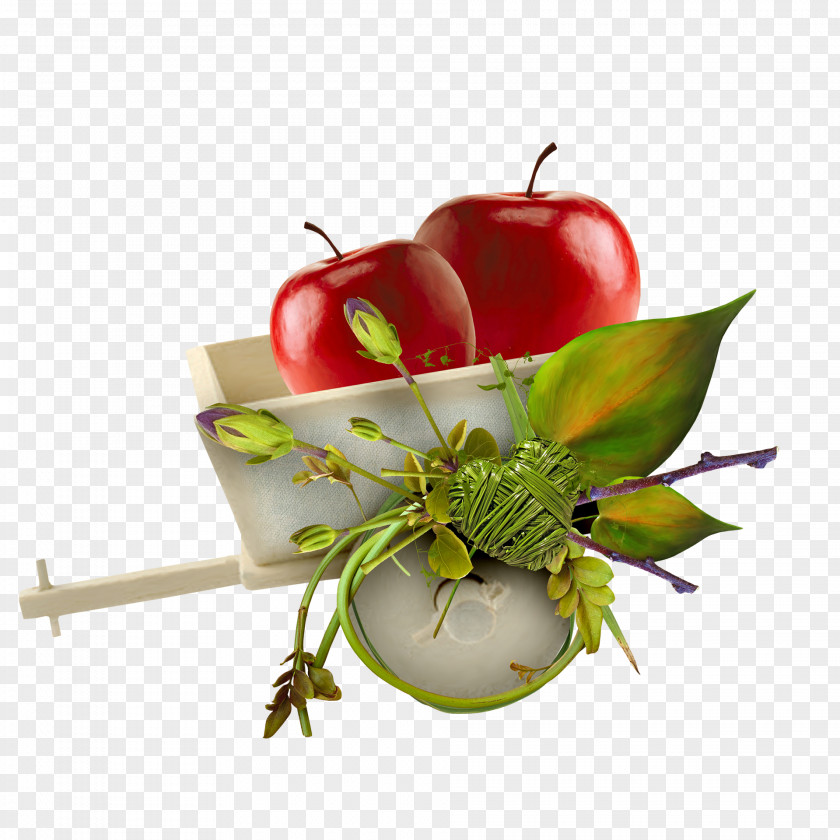 Apple Carts Savior Of The Feast Day Fruit Auglis PNG