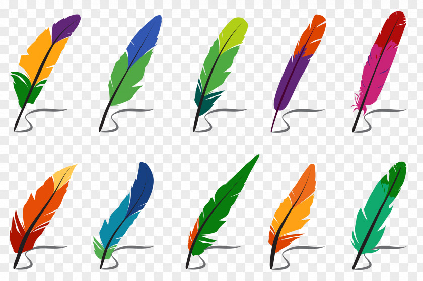 Colorful Feathers Vector Graphics Clip Art Image Illustration PNG