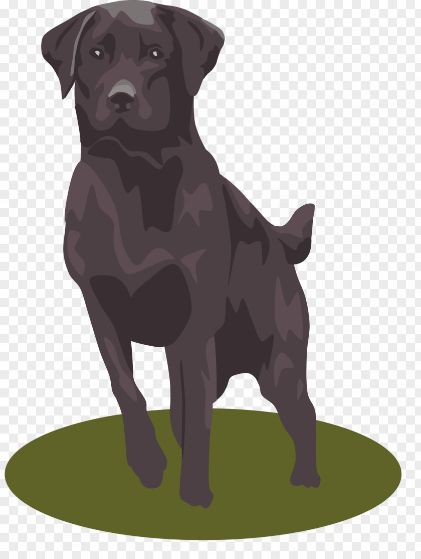 Dogs Labrador Retriever Clip Art PNG