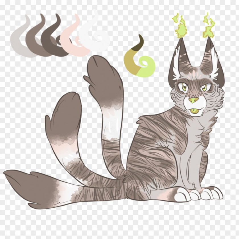 Kitten Tabby Cat Whiskers PNG