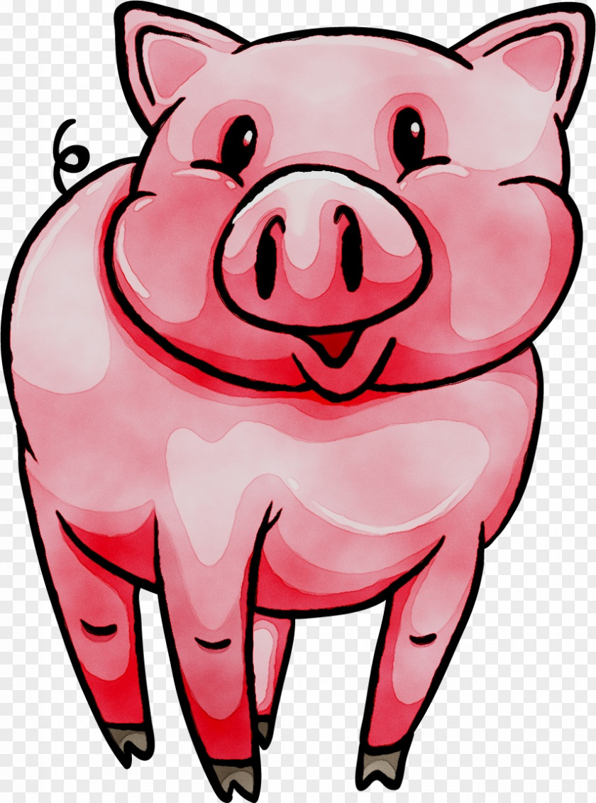 Pig Vector Graphics Royalty-free Stock Photography Illustration PNG