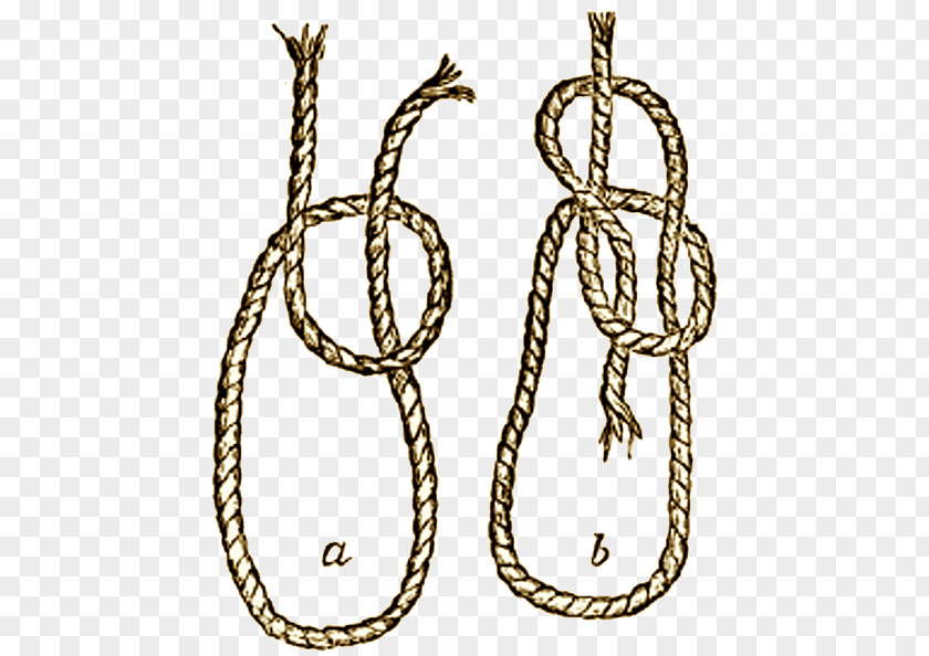 Bowline Knot Necktie Illustration Seamanship Font PNG