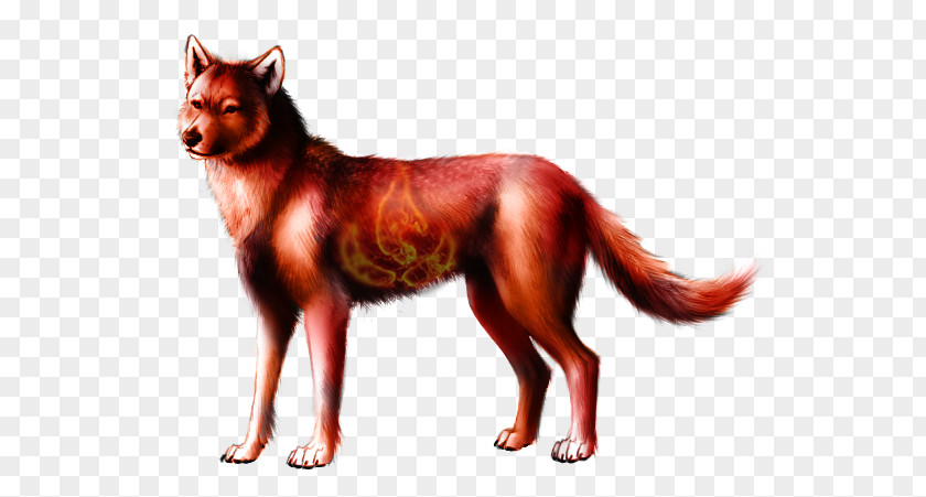 Fire Wolf Red Fox Dog Breed Haven International PNG