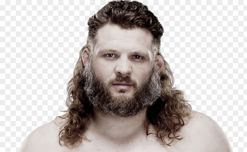 Mixed Martial Arts Roy Nelson Ultimate Fighting Championship The Fighter Bellator MMA PNG