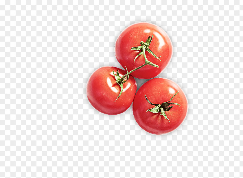 Tomato PNG