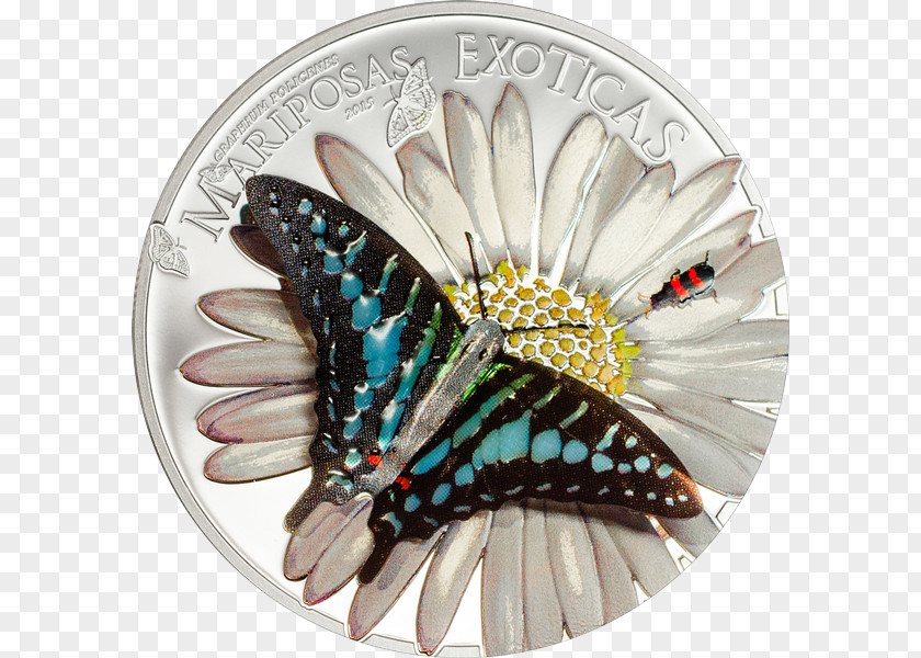 Butterfly Monarch Equatorial Guinea Silver Coin PNG