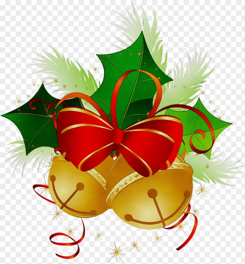 Christmas Eve Plant Holly PNG