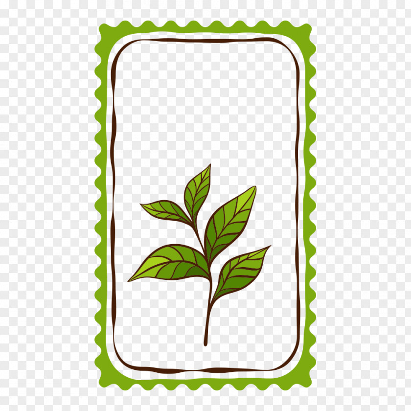 Green Tea Culture Teapot PNG