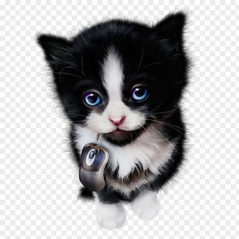 Kitten American Wirehair Whiskers Domestic Short-haired Cat Snout PNG