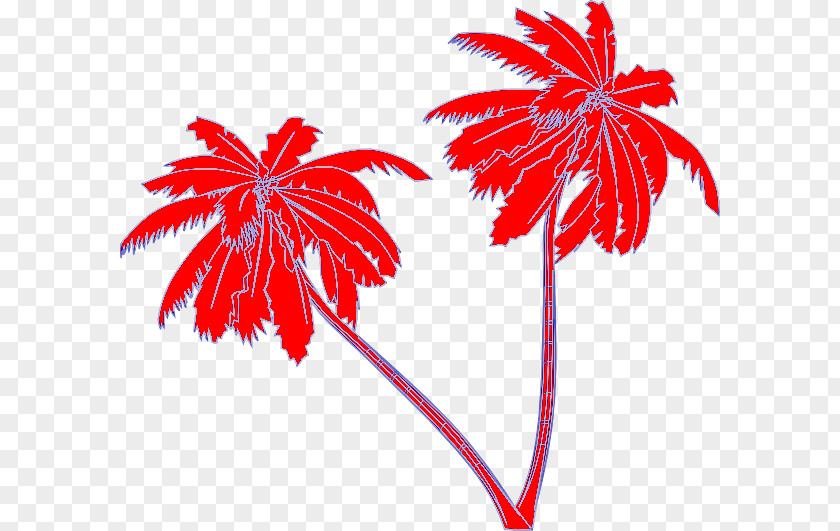 Palm Tree PNG