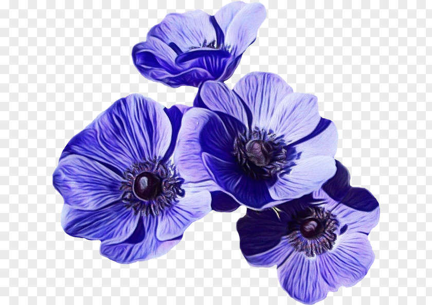 Viola Morning Glory Purple Flower Wreath PNG