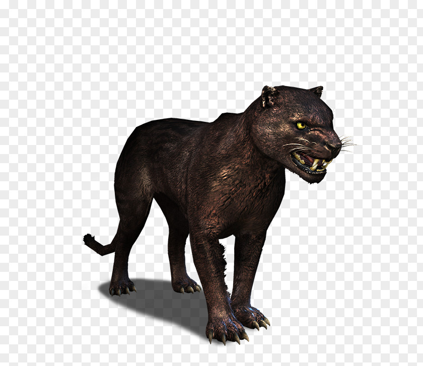 Black Panther The Witcher 3: Wild Hunt Cougar Panthera PNG
