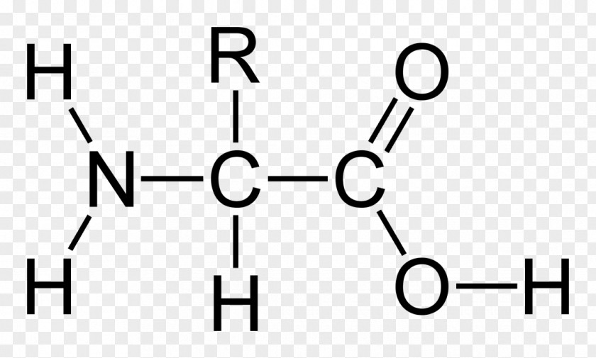 Creativity Honor Glycine Essential Amino Acid Side Chain PNG