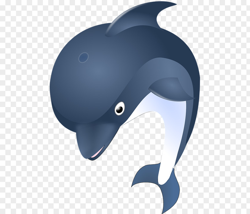 Cute Dolphin Euclidean Vector Clip Art PNG