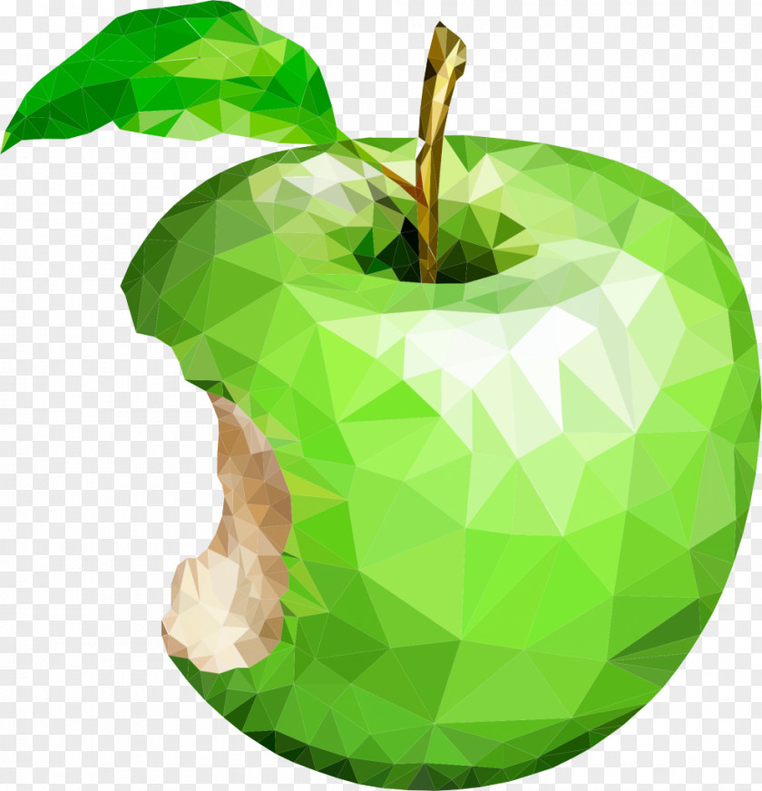 Food Granny Smith Green Leaf Apple Plant Clip Art PNG