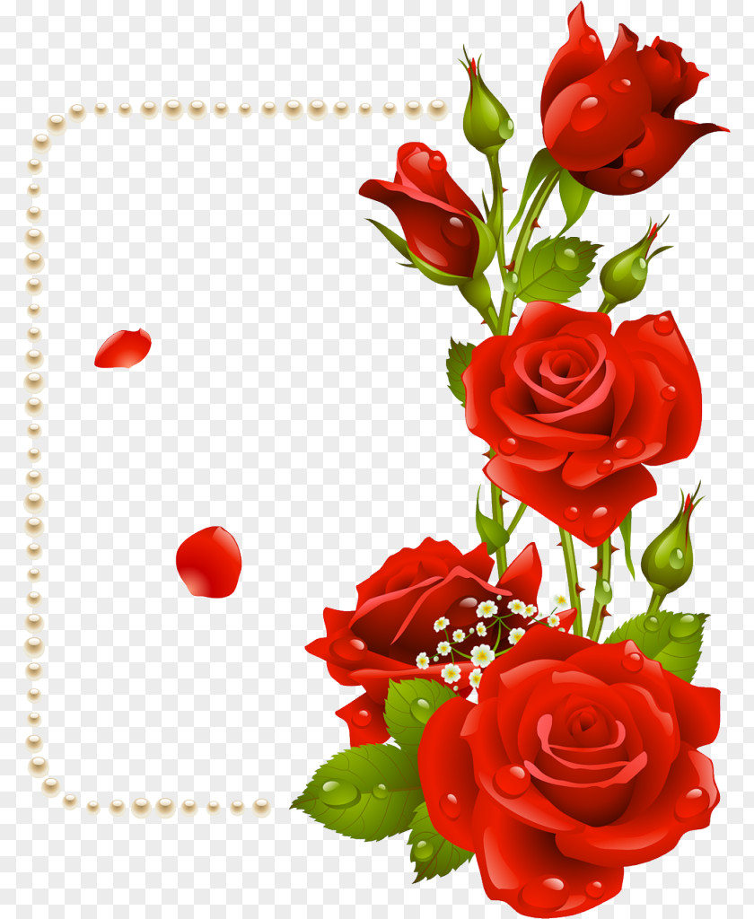 Red Rose Border Flower Clip Art PNG