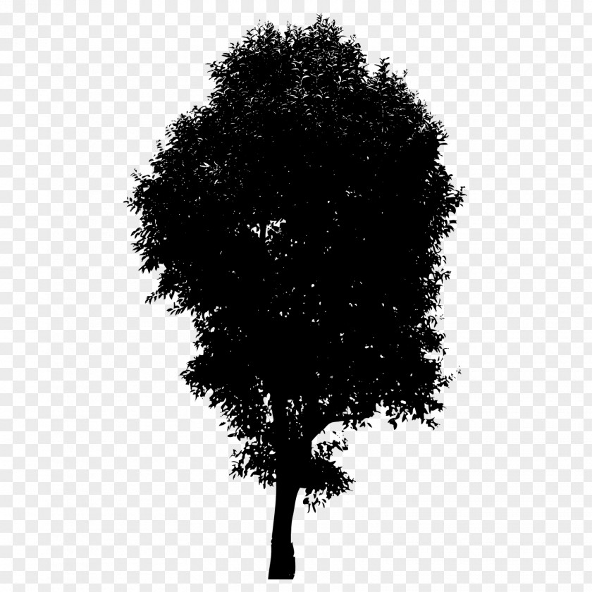 Silhouette Branch Royalty-free PNG