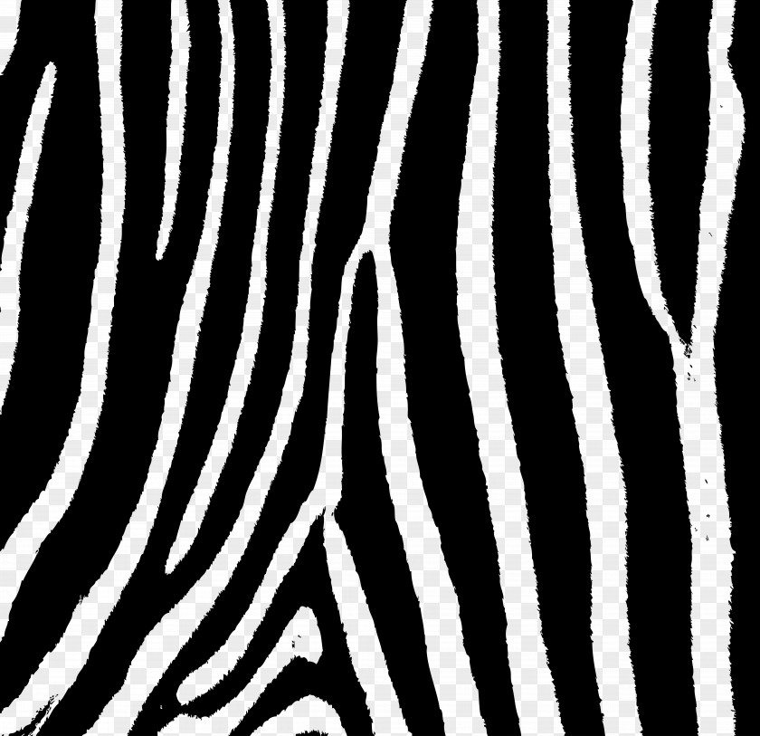 Zebra Patterning Stripe PNG