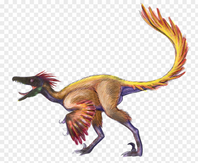 Dinosaur Velociraptor Utahraptor Dromaeosaurus Troodon PNG