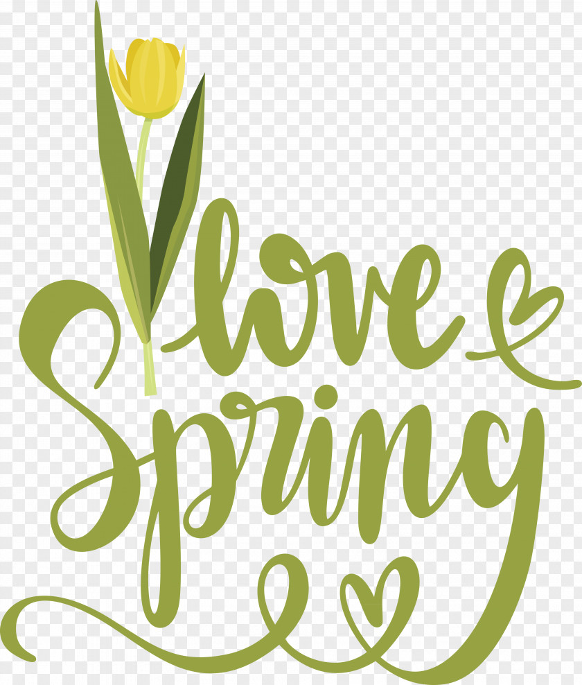 Floral Design PNG