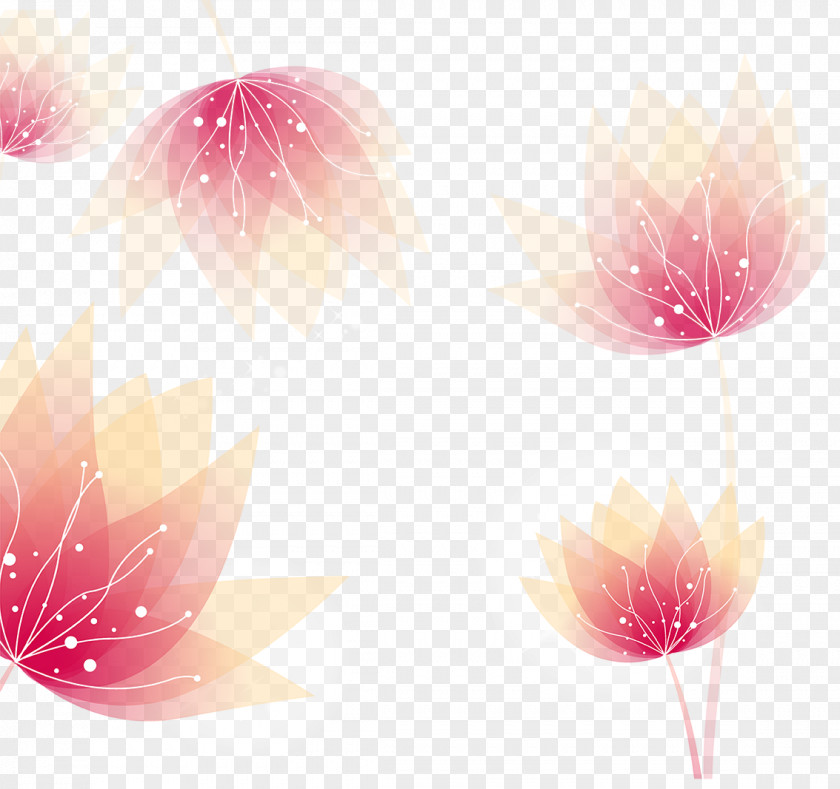 Flower Pattern Desktop Wallpaper Sky Petal Sunlight PNG