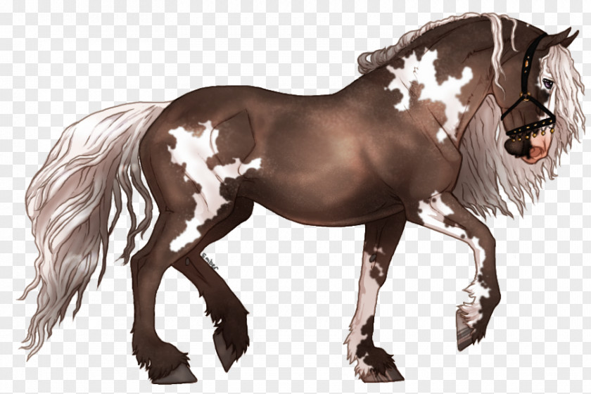 Mustang Mane Stallion Pony Mare PNG