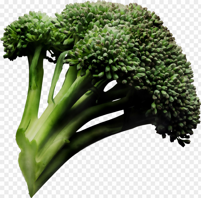 Sprouting Broccoli Cauliflower Health Food PNG