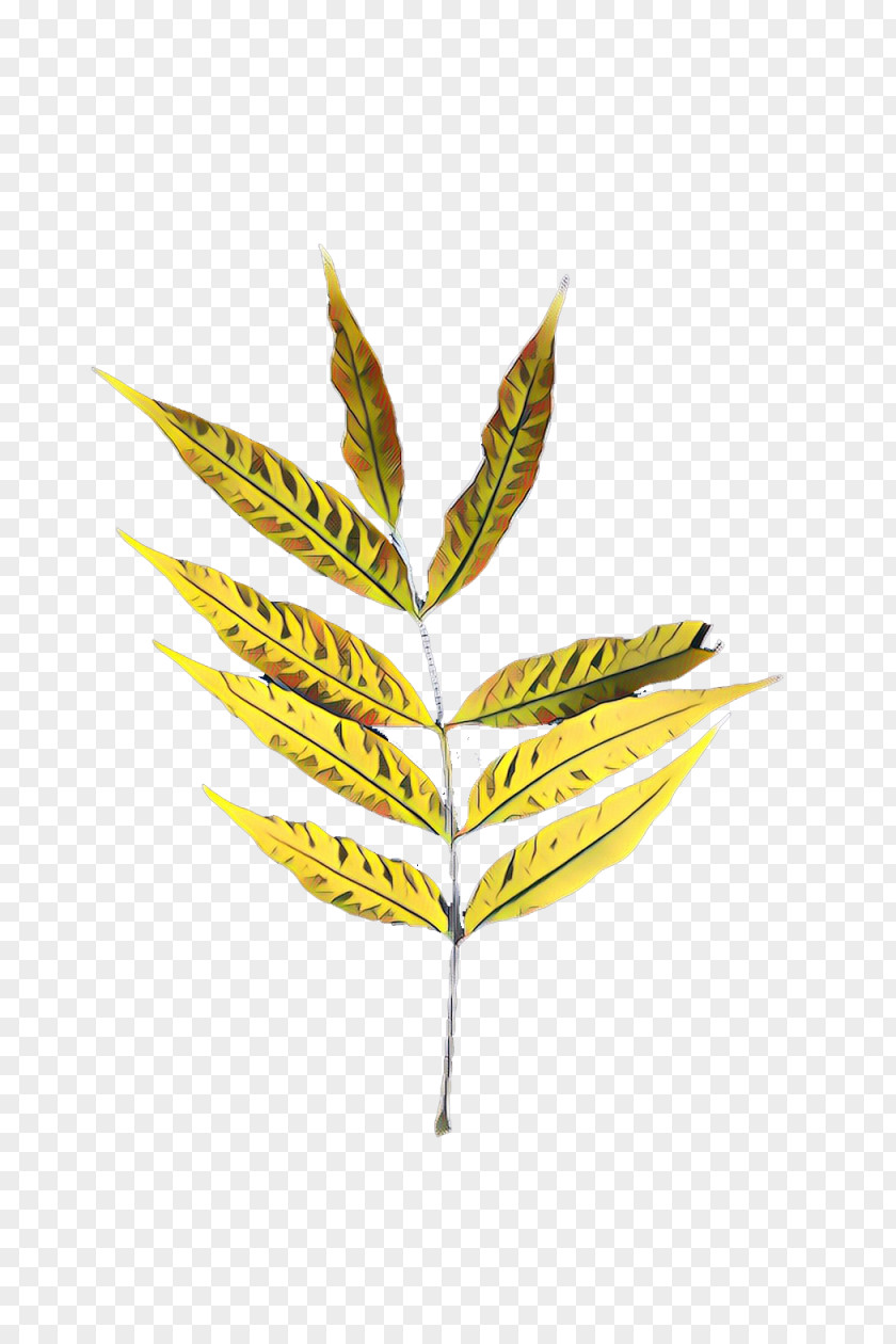 Sumac Moulu Twig Plant Stem Leaf Plants PNG