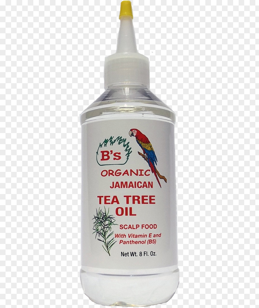 Tea Tree Oil Shea Butter Lotion Jojoba Argan PNG