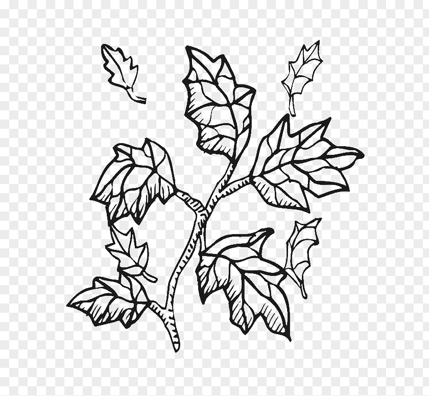 Tree Coloring Book Twig Clip Art Branch PNG
