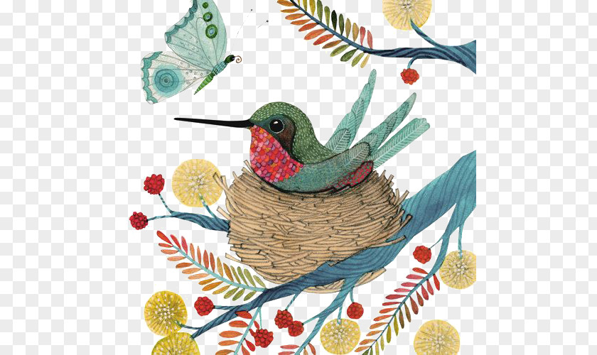 A Bird Nest Hummingbird Watercolor Painting Illustration PNG
