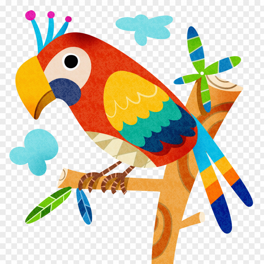 A Parrot Standing On Branch Woodpecker Illustration PNG