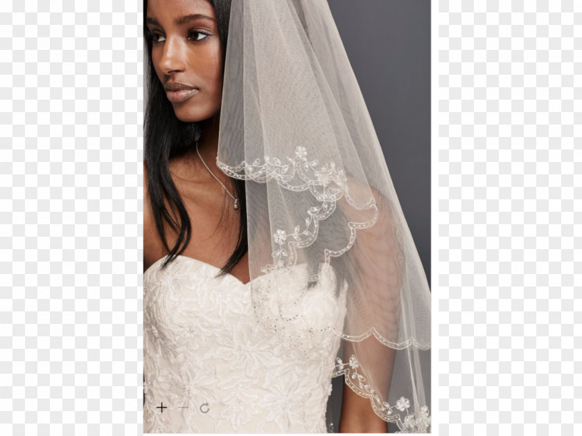 Bride Wedding Dress Veil Sequin David's Bridal PNG