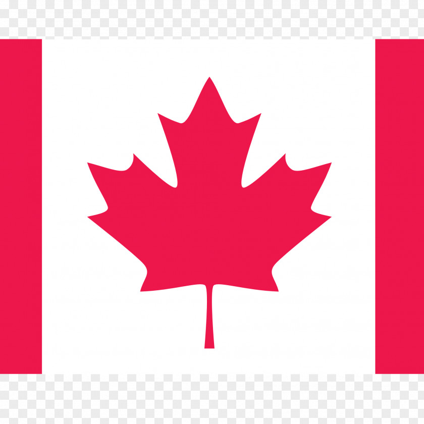 Canada Flag Of Maple Leaf Quebec PNG
