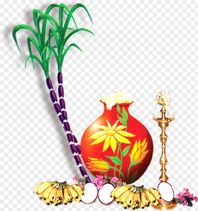 Cane Thai Pongal Wish Greeting Happiness PNG