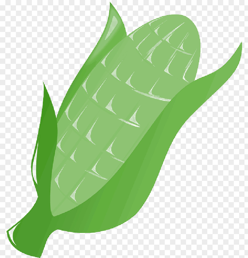 Clip Art Corn On The Cob Openclipart Candy PNG