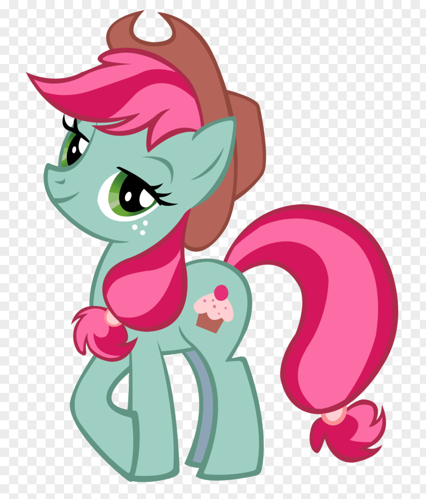 Cowboy Jack Pony Applejack Rainbow Dash Image Clip Art PNG