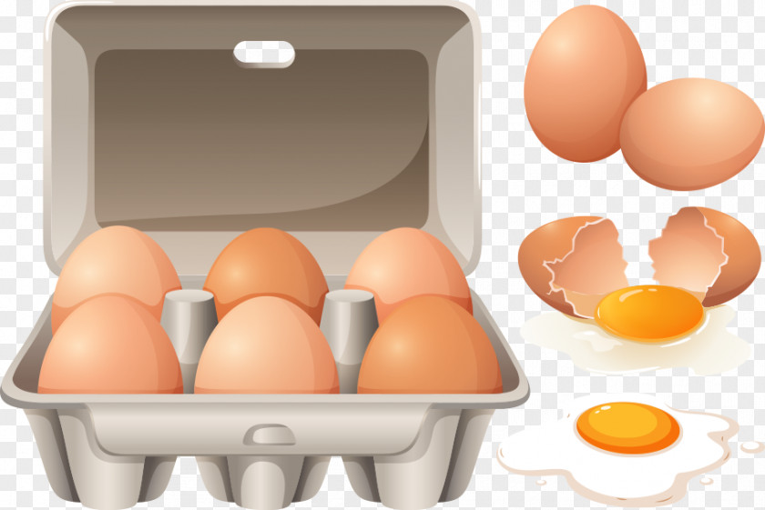 Cracked Eggs Vector Scrambled Egg Carton PNG