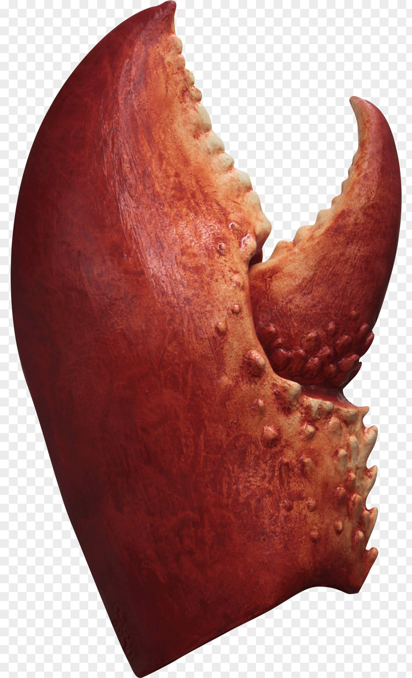 Lobster Claw T-shirt Halloween Costume Glove PNG
