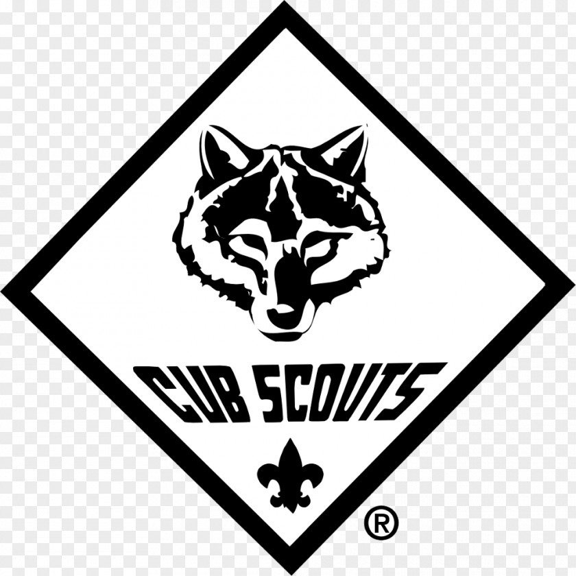 Scout Boy Scouts Of America Cub Scouting Clip Art PNG