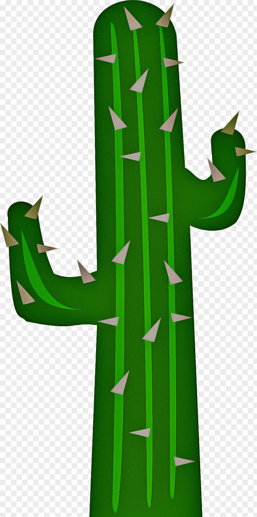 Symbol Succulent Plant Cactus PNG