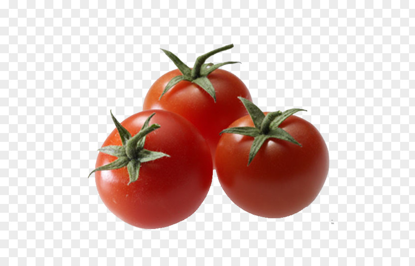 Ten Pizzeria Tomate Italian Cuisine Tomato Pizza Food PNG