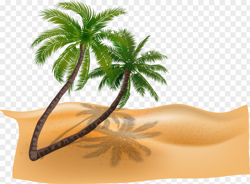 Vector Material Plant Coconut Trees Beach PNG