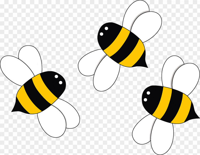 Bee Apis Florea Euclidean Vector Clip Art PNG