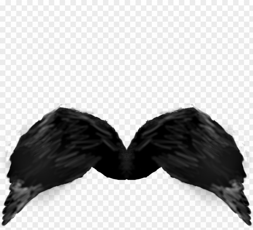 Devil Wing Fur White PNG