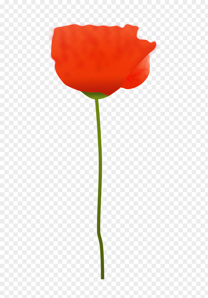 Flower Remembrance Poppy Clip Art PNG