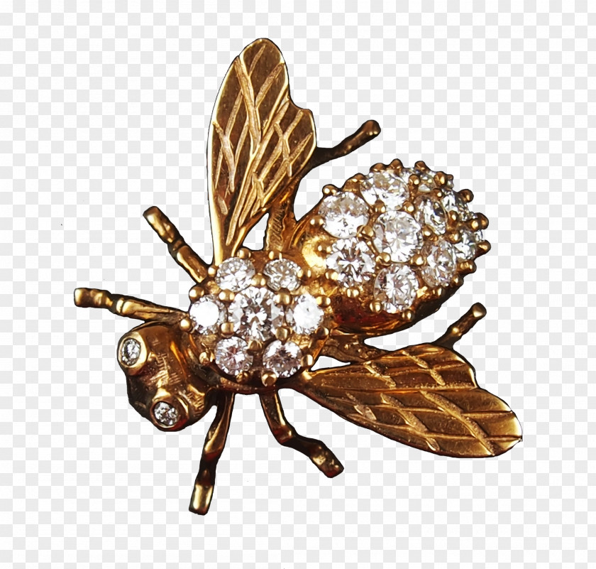 Jewellery Brooch Honey Bee Earring Pin PNG