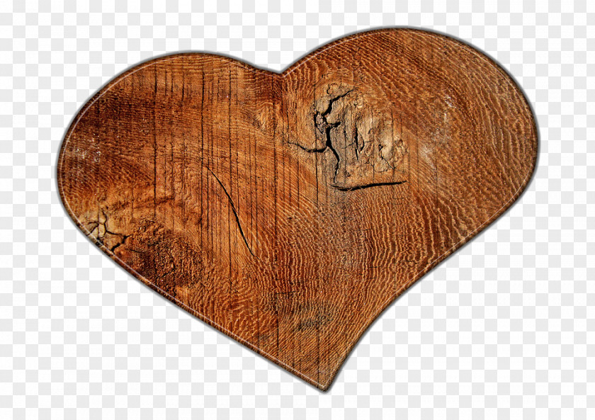Love Wood Pic Reit Im Winkl Download Pixabay PNG