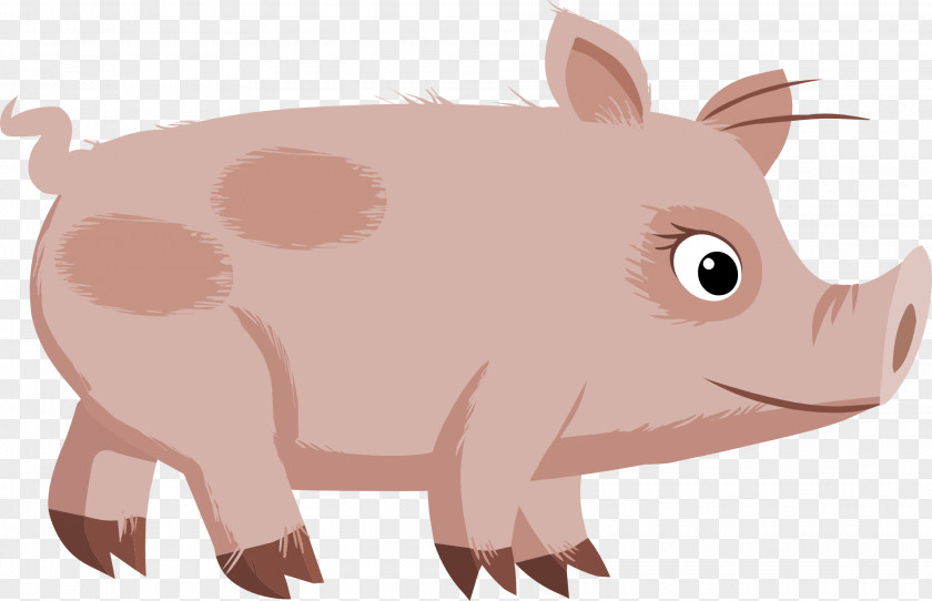 Piggy Bank Domestic Pig Clip Art PNG