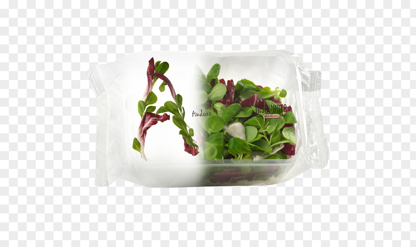 Salad Plastic Bag Packaging And Labeling Food Vegetable PNG